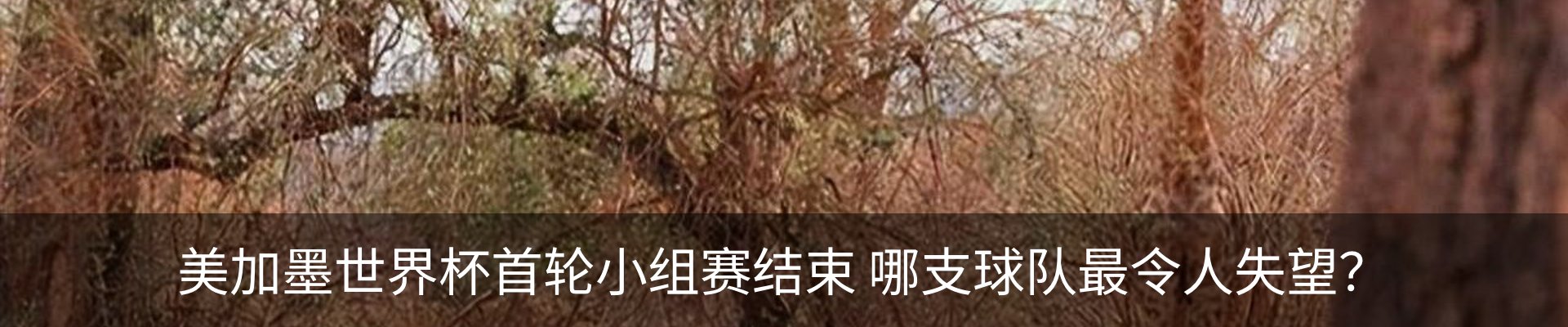 资讯动态